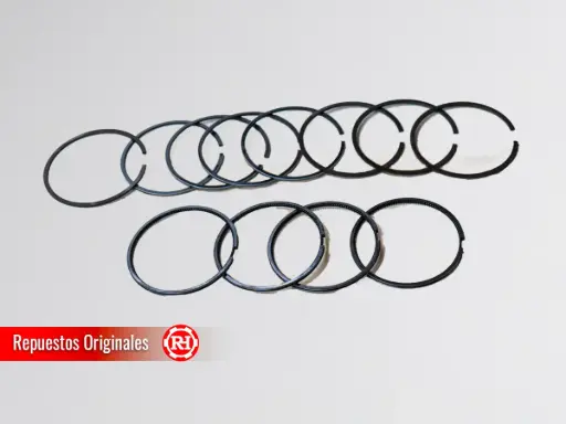 [060004+D30300002-07] Juego de segmentos del pistón motor RH30D repuesto