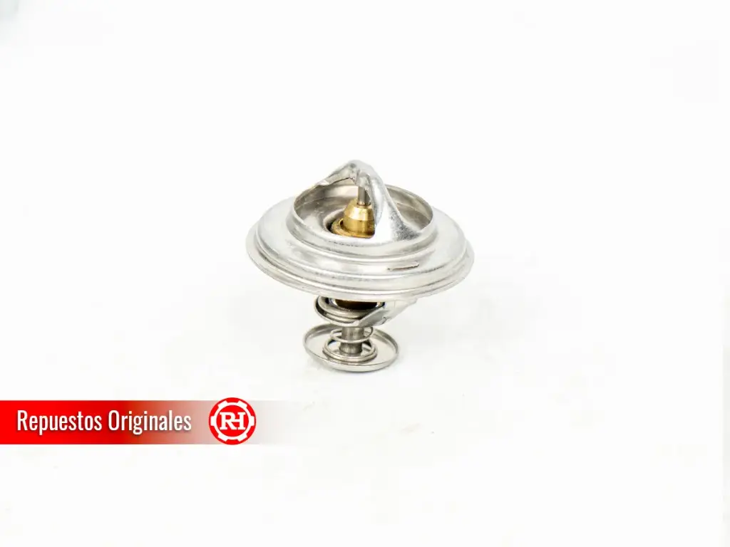 Termostato para RH080T / RH100T 