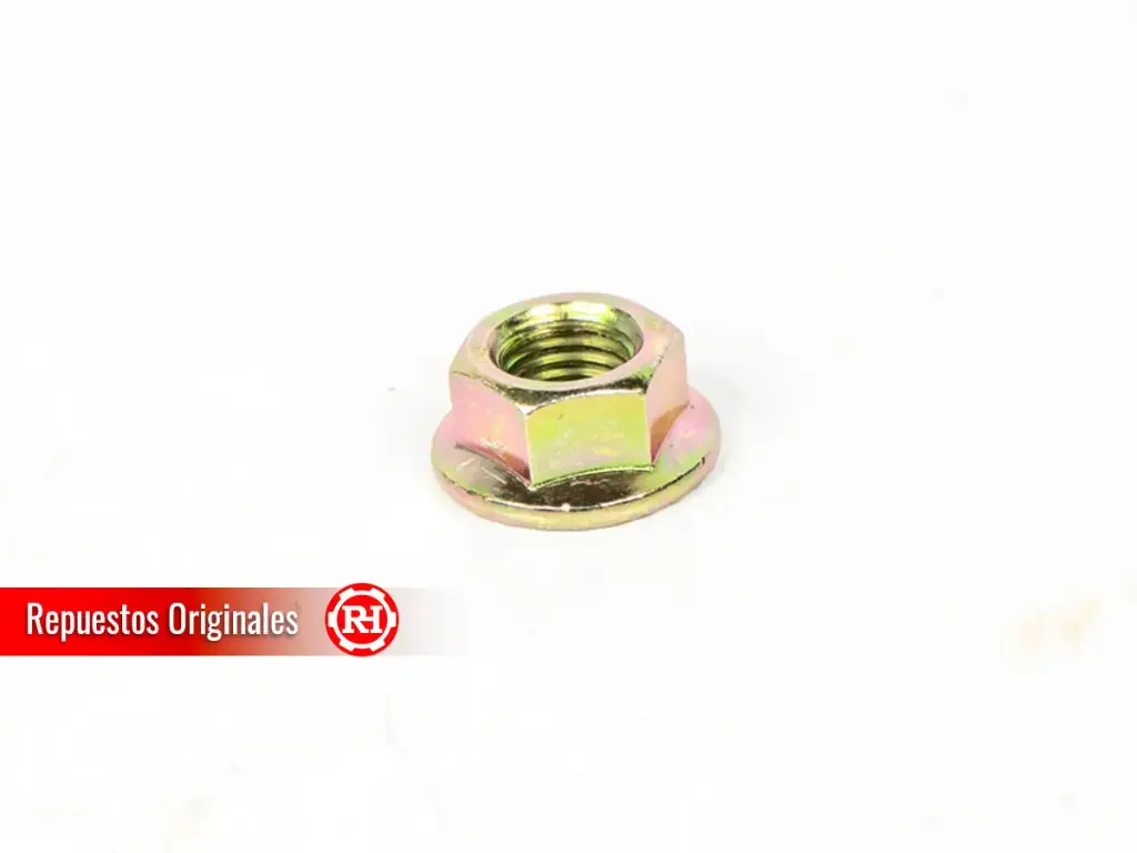 Tuerca hexagonal con reborde tipo 2 para RH040E / RH060E / RH070CT / RH050 / RH070T / RH100T / RH130T / RH160T