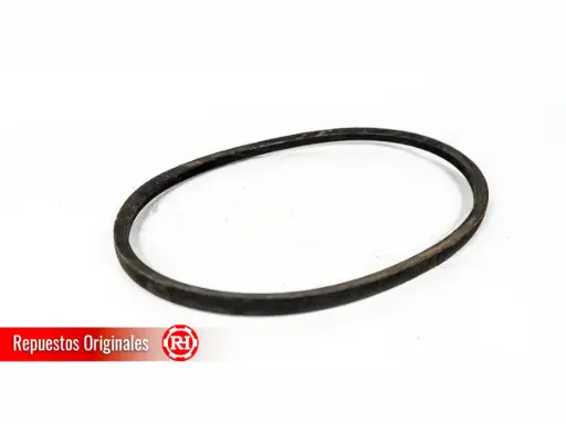 [000000000001722] CORREA B38