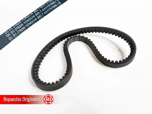 [AV17×780Li] Correa del alternador RH070CT  