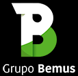 GRUPO BEMUS  S.A  DE CAPITAL VARIABLE